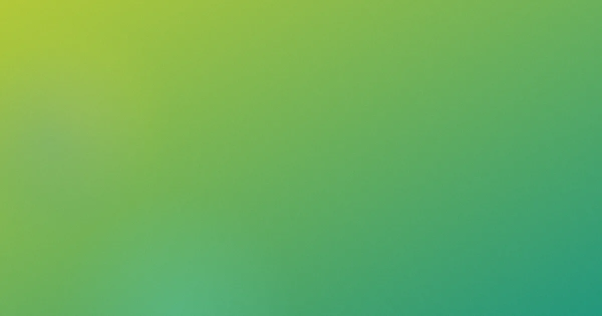 beyonce避坑：版本、现场与票务